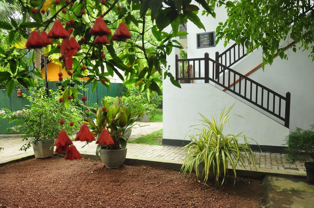 Green Villa אונה ואטונה מראה חיצוני תמונה