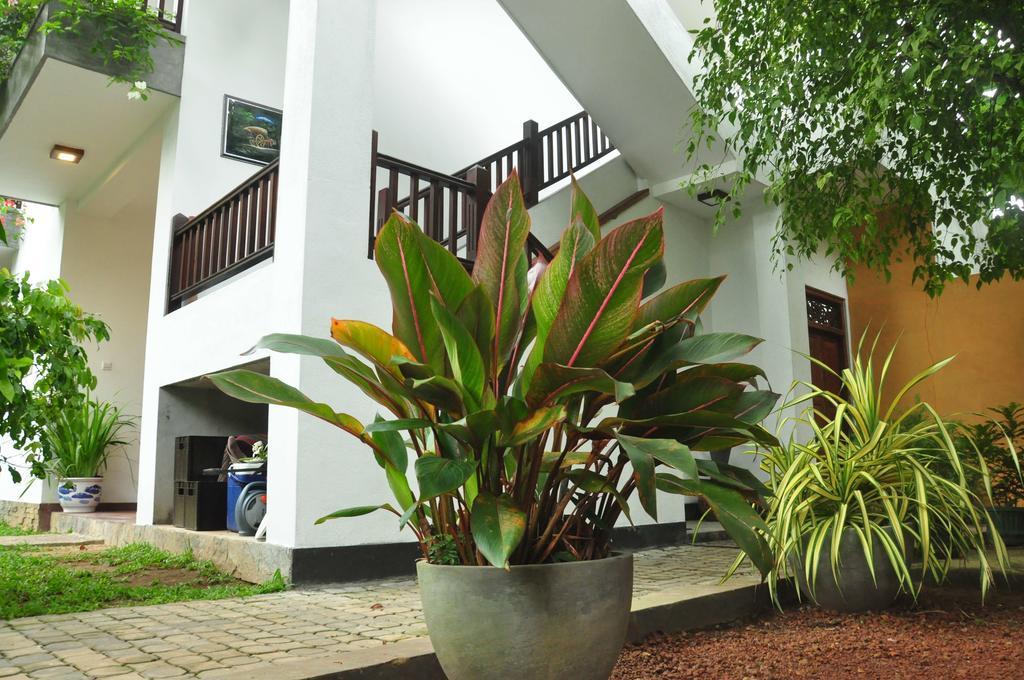 Green Villa אונה ואטונה מראה חיצוני תמונה